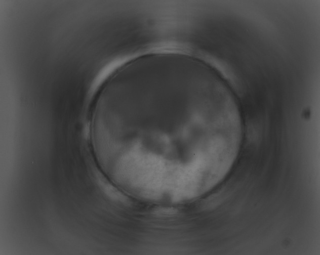 X0000091551462200708311343