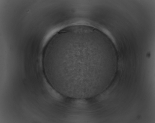 X0000091551464200708311343