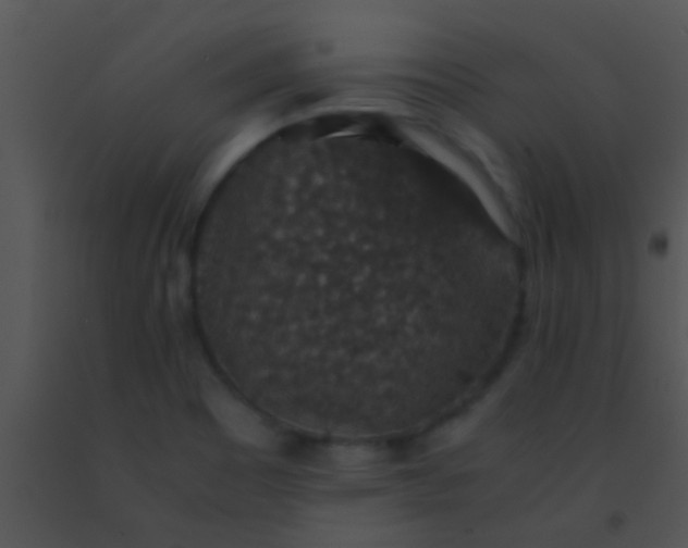 X0000091551465200708311343