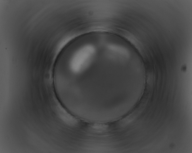 X0000091551466200708311343