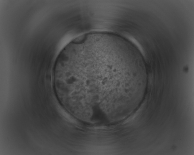 X0000091551467200708311343