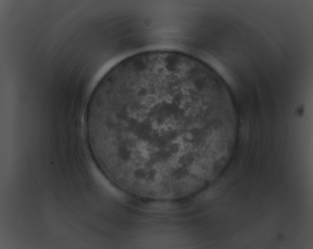 X0000091551468200708311343