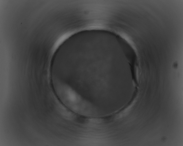 X0000091551469200708311343