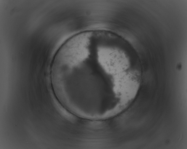 X0000091551470200708311343