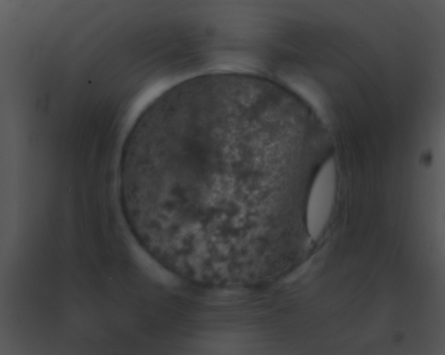 X0000091551471200708311343