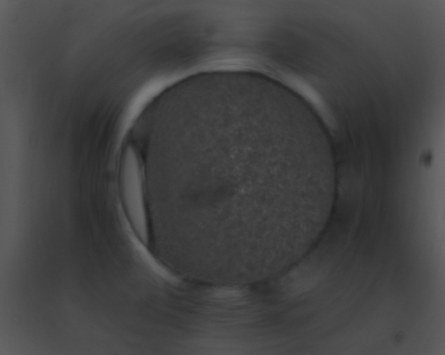 X0000091551472200708311343