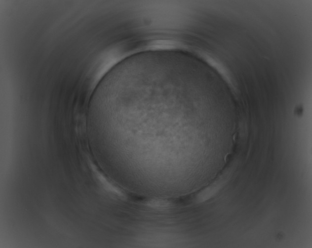 X0000091551473200708311343