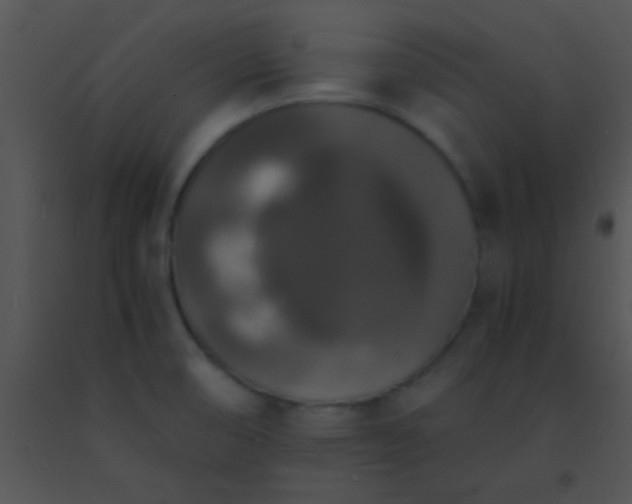 X0000091551474200708311343