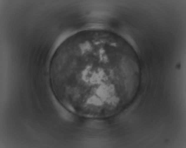 X0000091551475200708311343