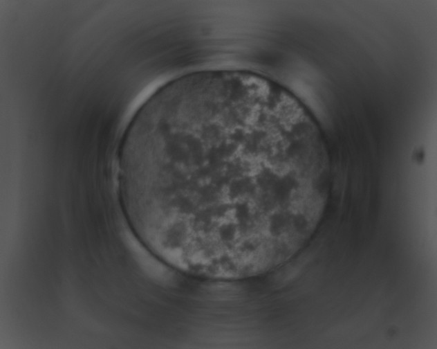 X0000091551476200708311343
