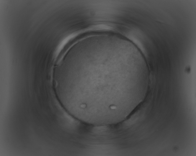 X0000091551477200708311343