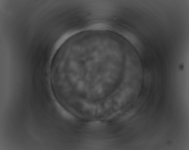 X0000091551478200708311343