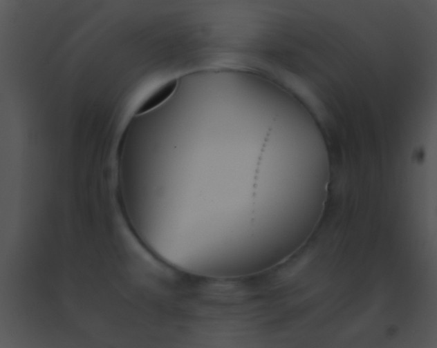 X0000091551479200708311343
