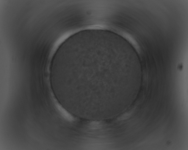X0000091551480200708311343