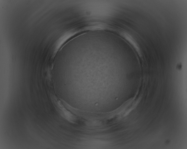 X0000091551481200708311343
