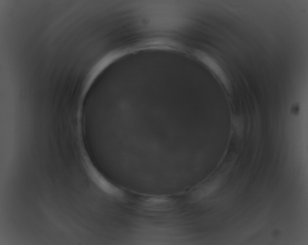 X0000091551482200708311343