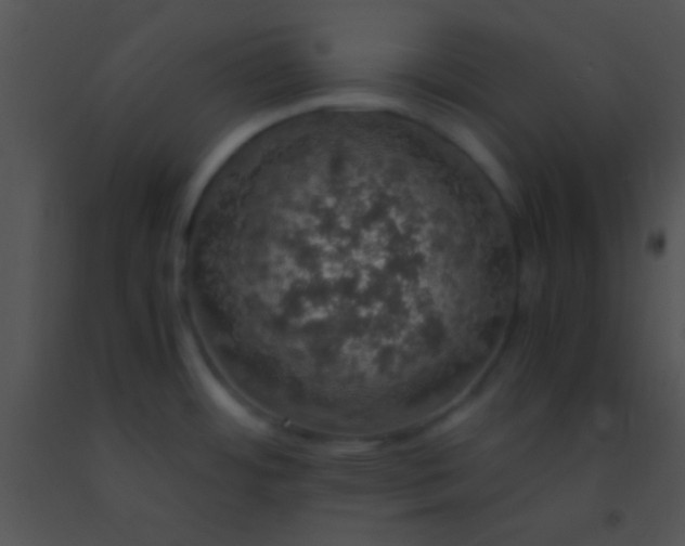 X0000091551484200708311343