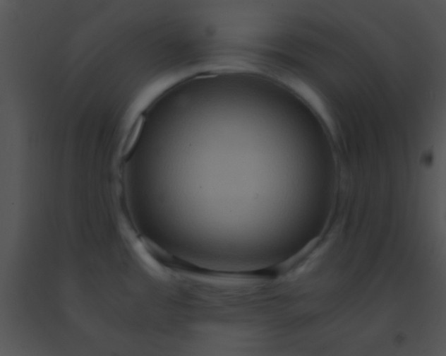 X0000091551485200708311343