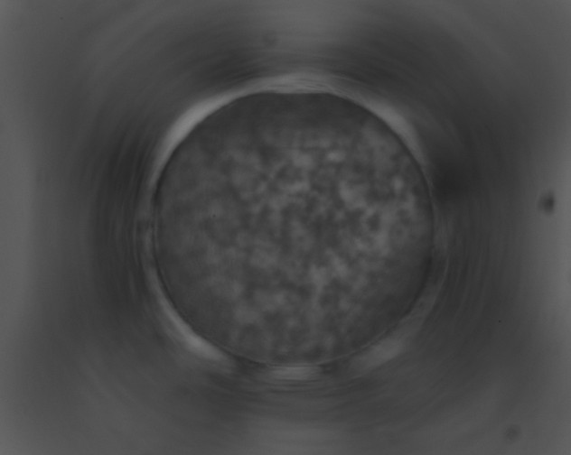 X0000091551486200708311343