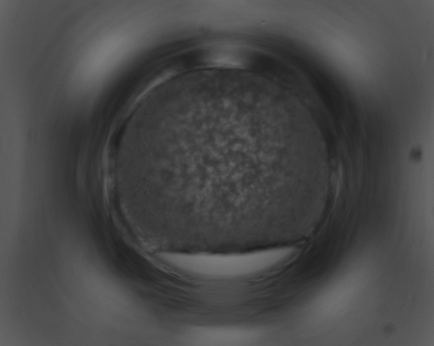 X0000091551487200708311343