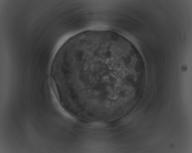 X0000091551488200708311343