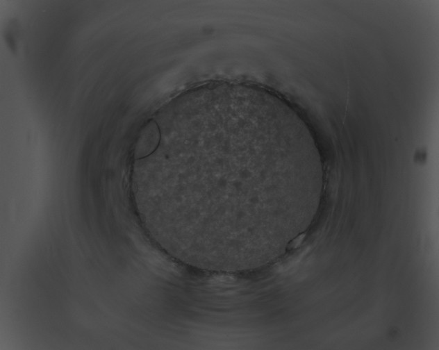 X0000091551489200708311343