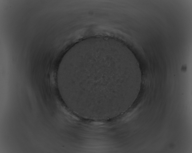 X0000091551490200708311343