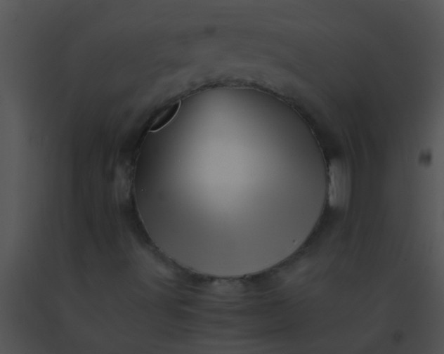 X0000091551491200708311343