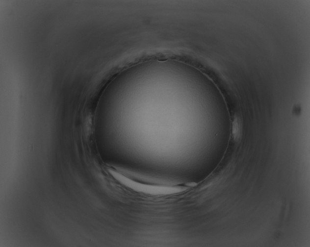 X0000091551492200708311343