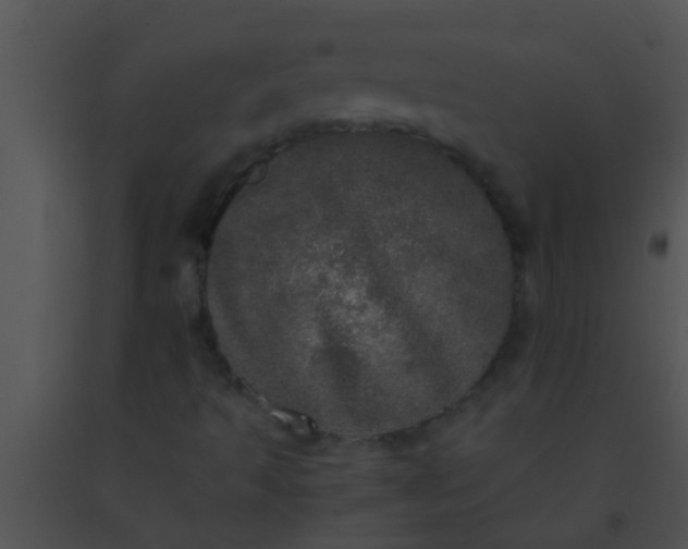 X0000091551493200708311343