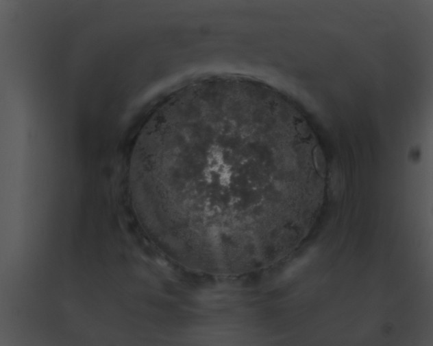 X0000091551494200708311343