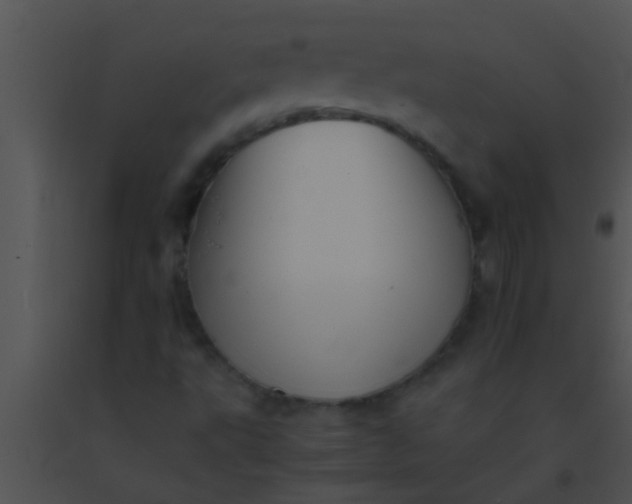 X0000091551495200708311343