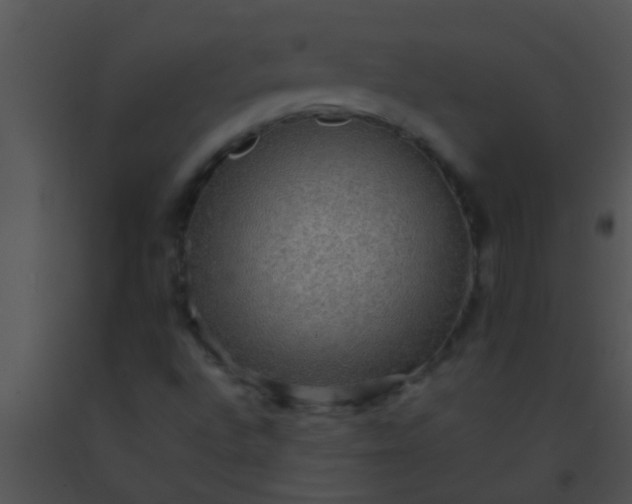 X0000091551496200708311343