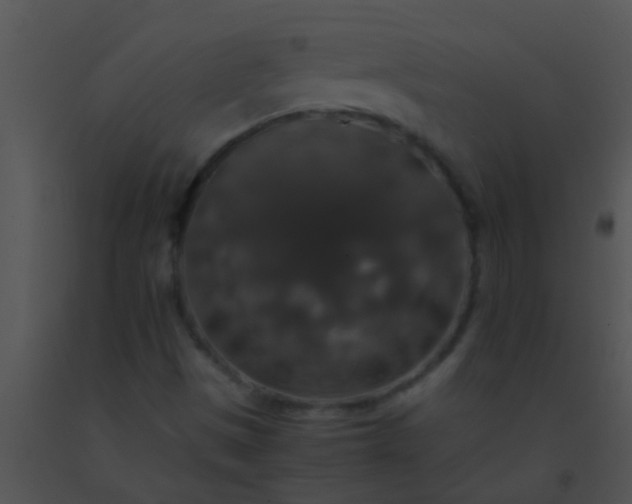 X0000091551497200708311343