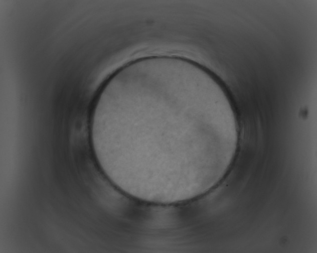 X0000091551498200708311343