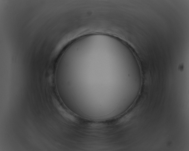 X0000091551499200708311343