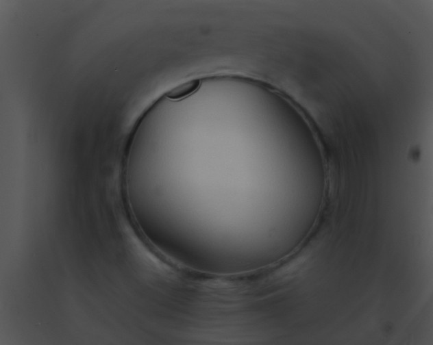X0000091551500200708311343