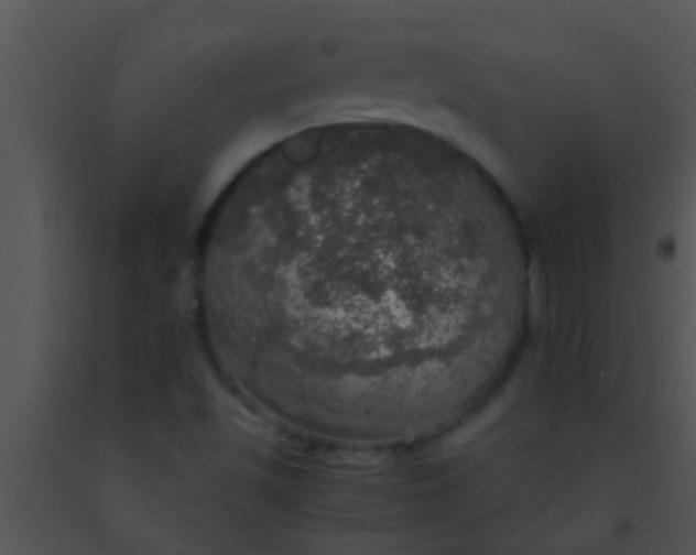 X0000091551501200708311343