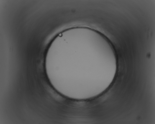 X0000091551502200708311343