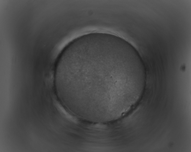 X0000091551503200708311343