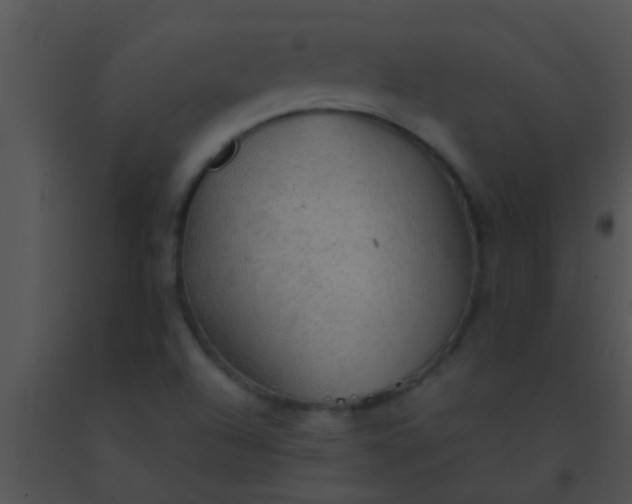 X0000091551504200708311343