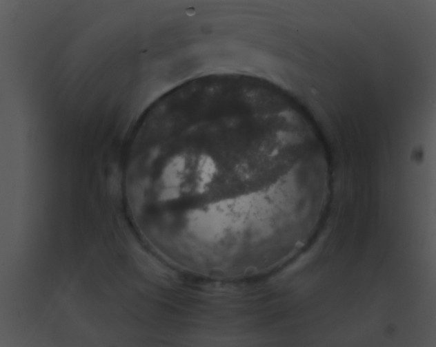X0000091551505200708311343