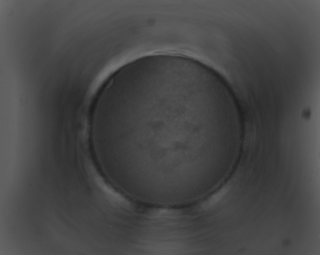 X0000091551506200708311343