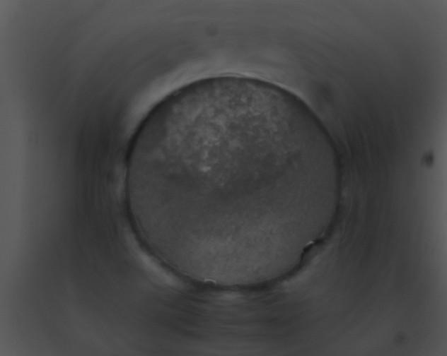 X0000091551507200708311343
