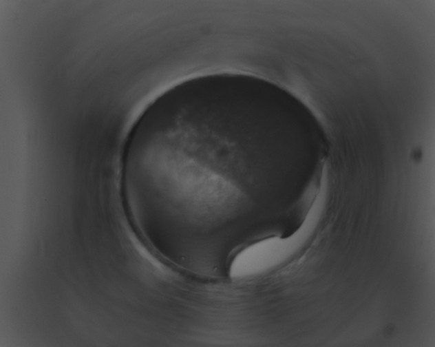 X0000091551508200708311343