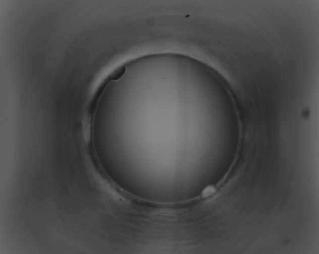 X0000091551510200708311343