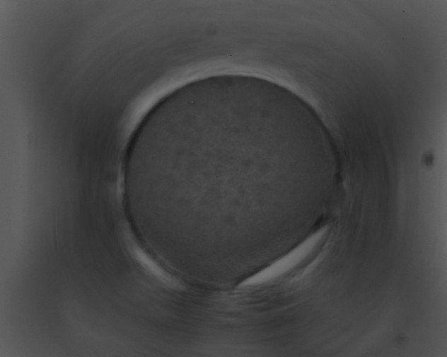 X0000091551511200708311343