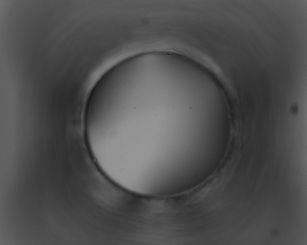 X0000091551512200708311343