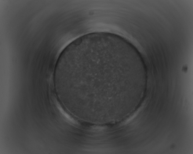 X0000091551513200708311343