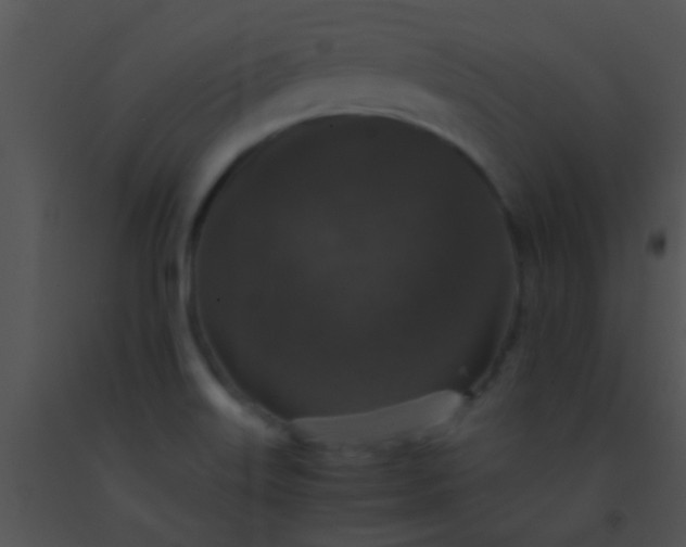 X0000091551515200708311343